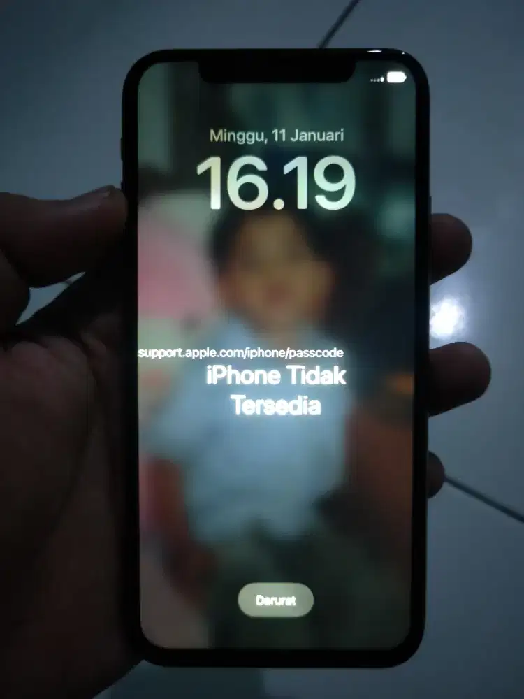 Harga tertinggi angkut jual cepat