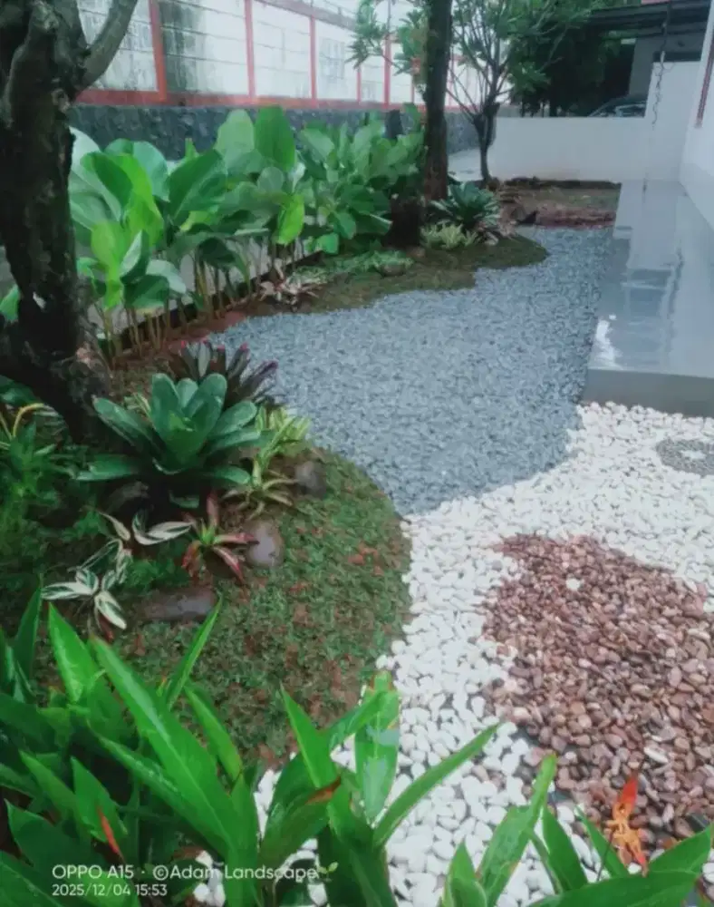 tukang taman minimalis