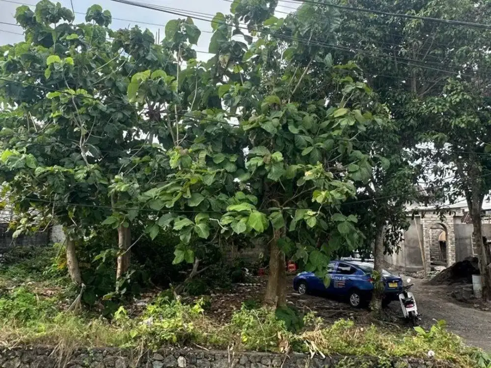 Tanah Premium 1,5 Are Dijual, di Uluwatu Kuta Selatan Area