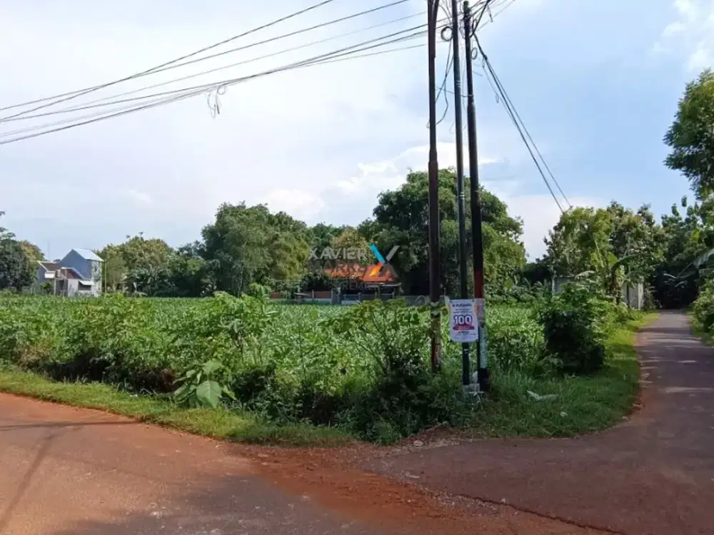 Dijual Murah Tanah di Daerah Semanding, Tuban - Jawa Timur