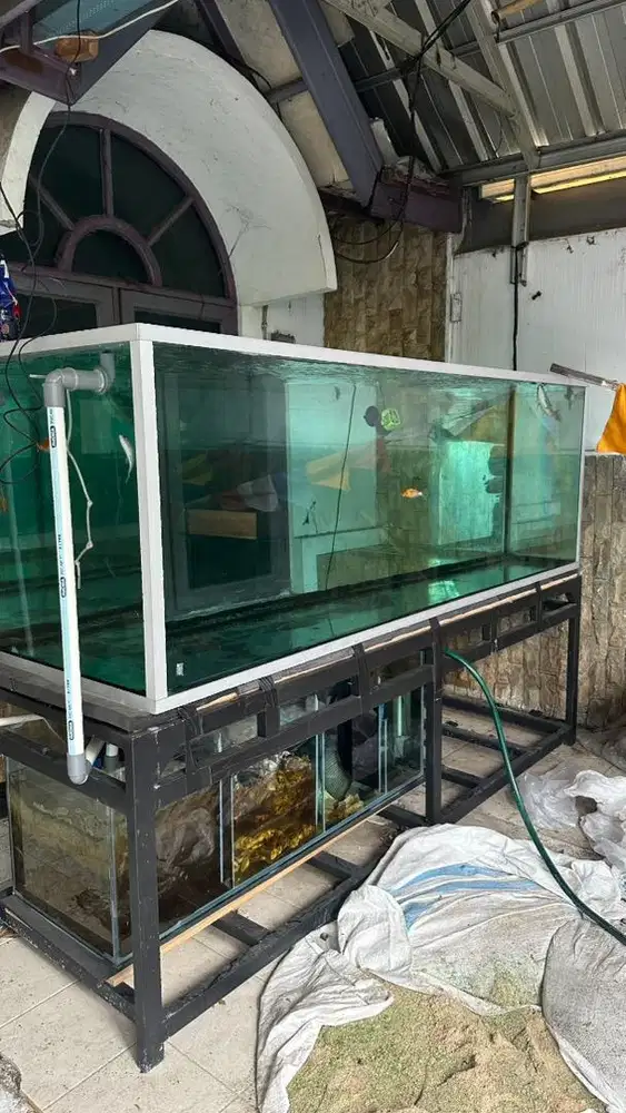 Aquarium megatank jumbo