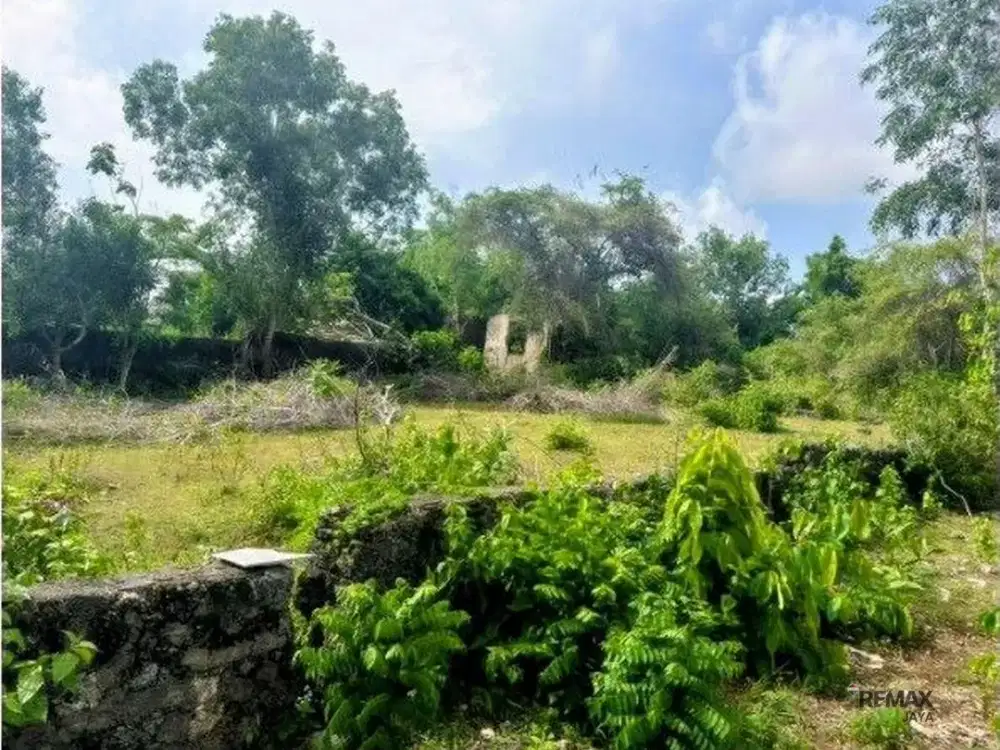 Tanah Cantik dan Premium 5,96 Area Dijual, di Ungasan Area