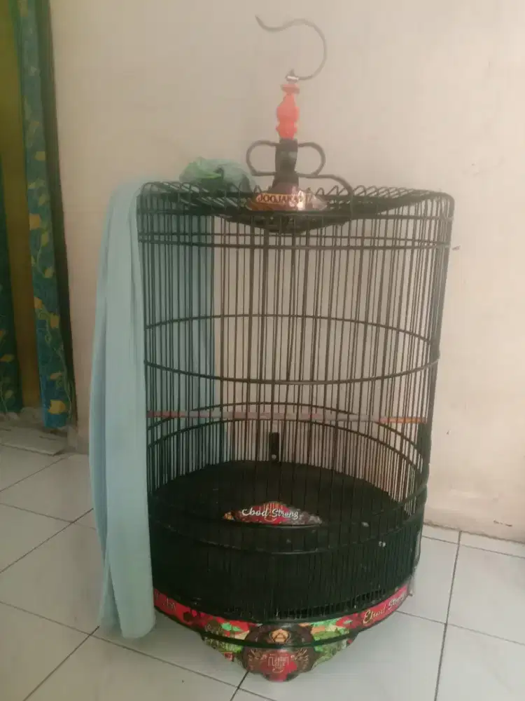 Kandang murai Ebod jaya decal no 1 fulset 600 k pdk aren