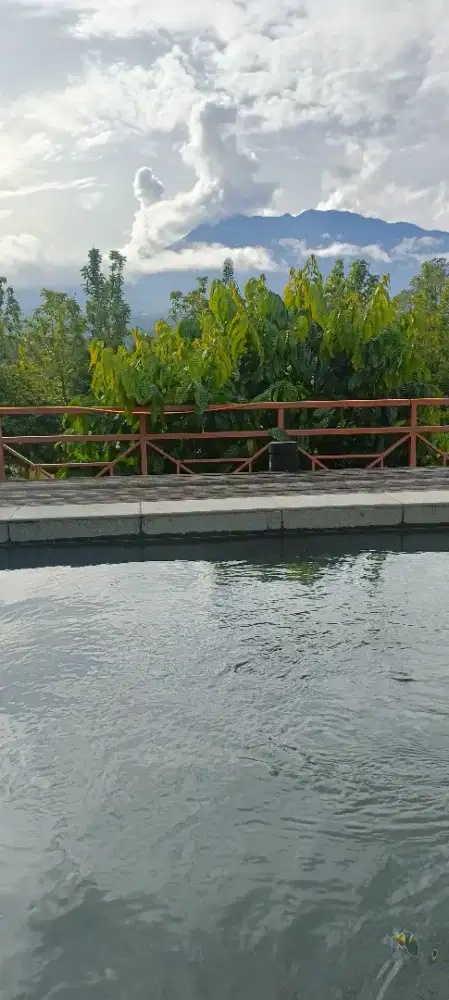 Dicari Cargiver perempuan untuk merawat Orang tua umur 65 tahun