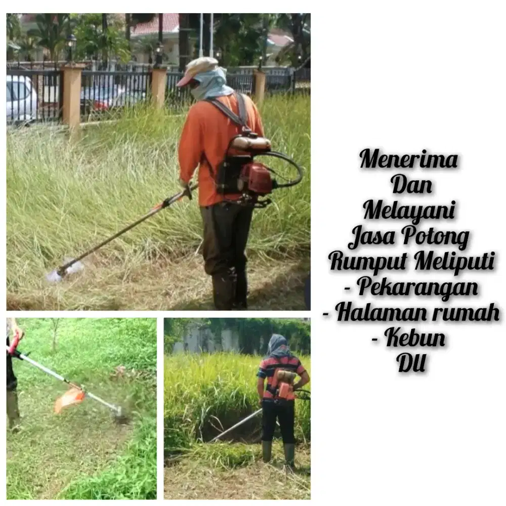 Jasa potong rumput dan alang alang murah