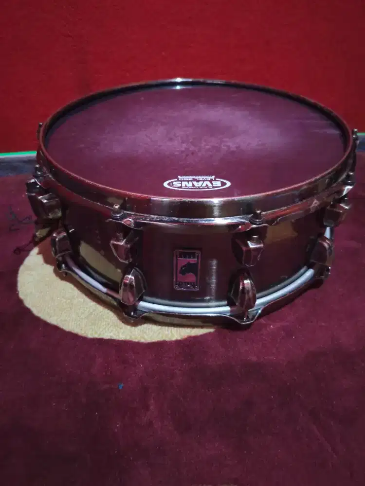 Snare Mapex black Panther Brass Cat 14x5