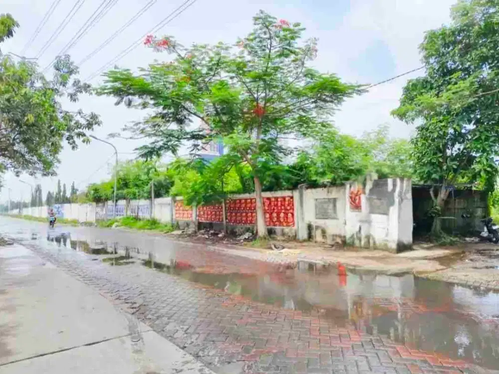 Tanah Hook Urukan Padat Nol Jl Ry Kejawen Putih Mulyorejo Surabaya dekat Pakuwon City Mall & Kampus ITS. Cocok Untuk Usaha Minimarket, Kos, Bengkel, Salon dll