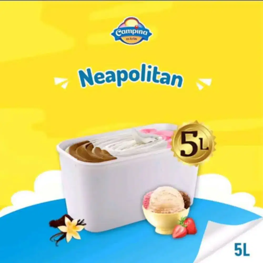 Ice cream Campina 5lt