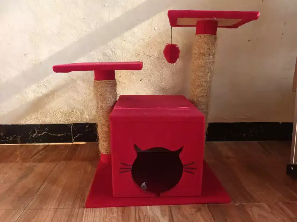 rumah mainan kitten/chat/kucing