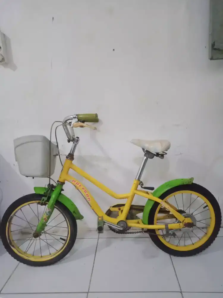 Sepeda Polygon Spesial edision