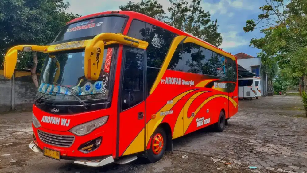 BUS MEDIUM ISUZU NQR  LONG 2018