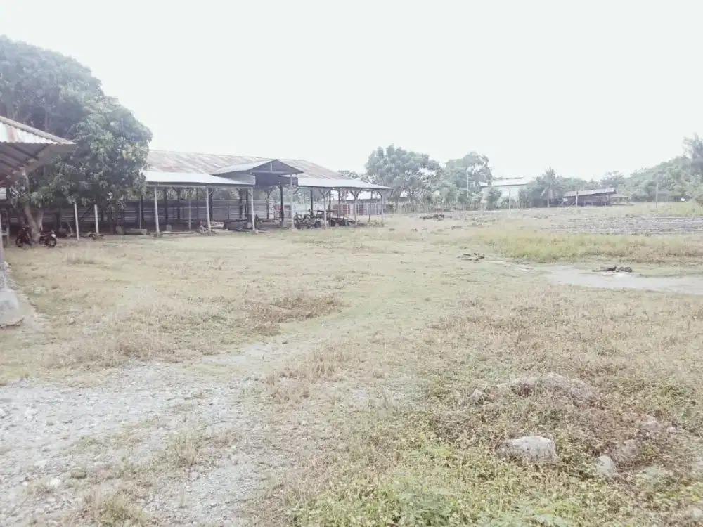 DIJUAL: Tanah Luas & Strategis di Kayumalue Ngapa, Palu (SHM)