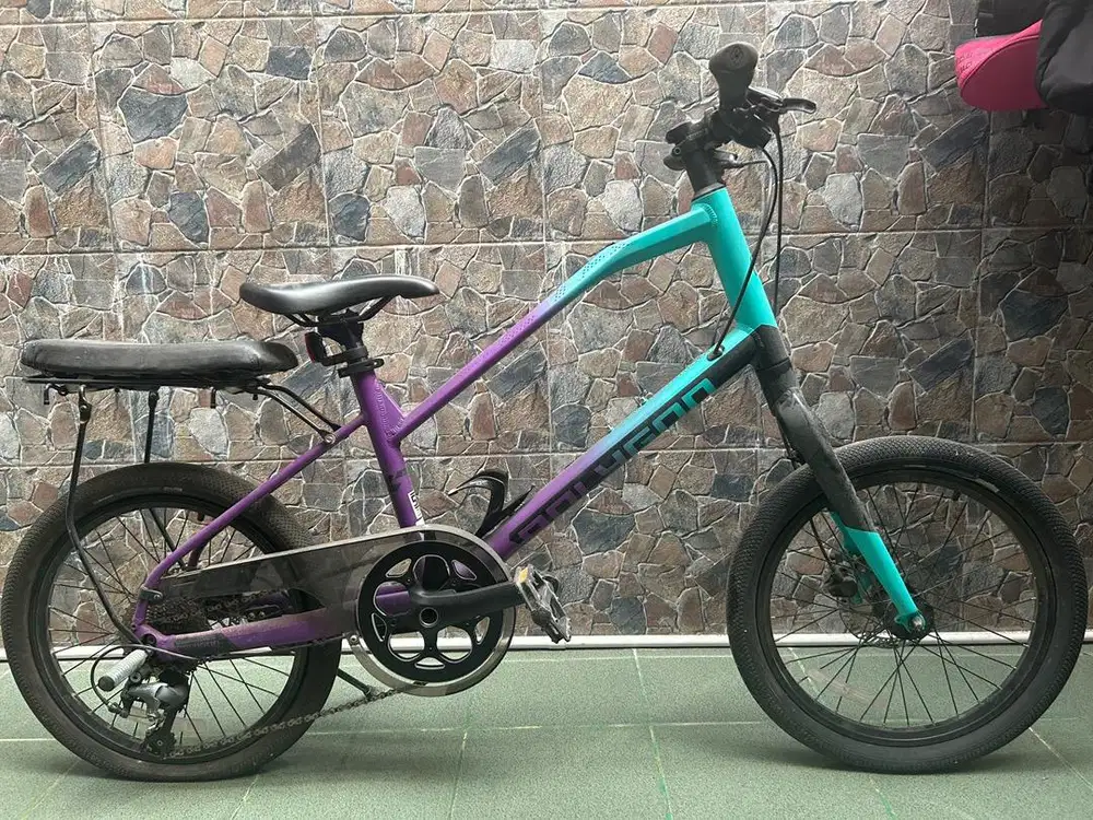 Sepeda Polygon Zeta 2 minivelo