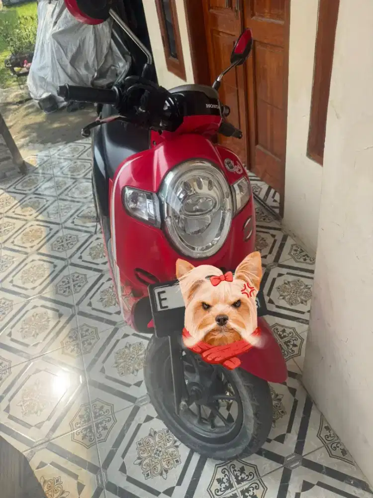 Jual motor kesayangan scopy