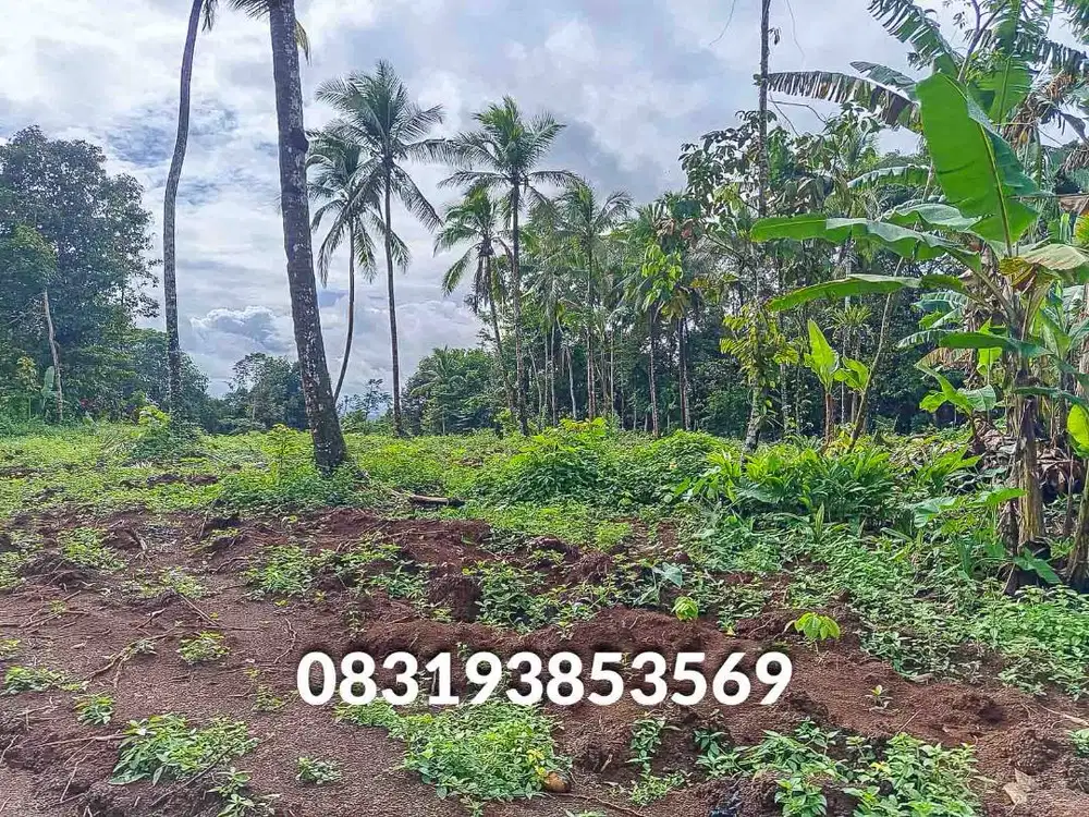 Jual Tanah  Murah Pandeglang Banten