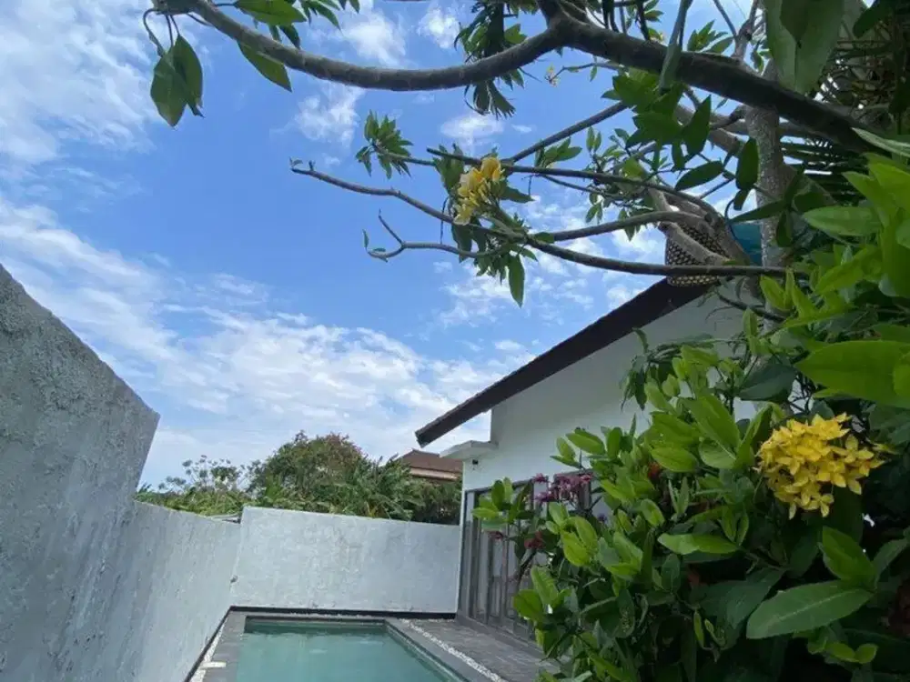 Villa Baru Lokasi Strategis Disewakan, di Gunung Salak Denpasar Area