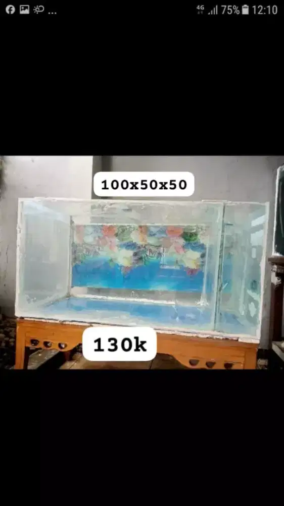 Akuarium Persegi