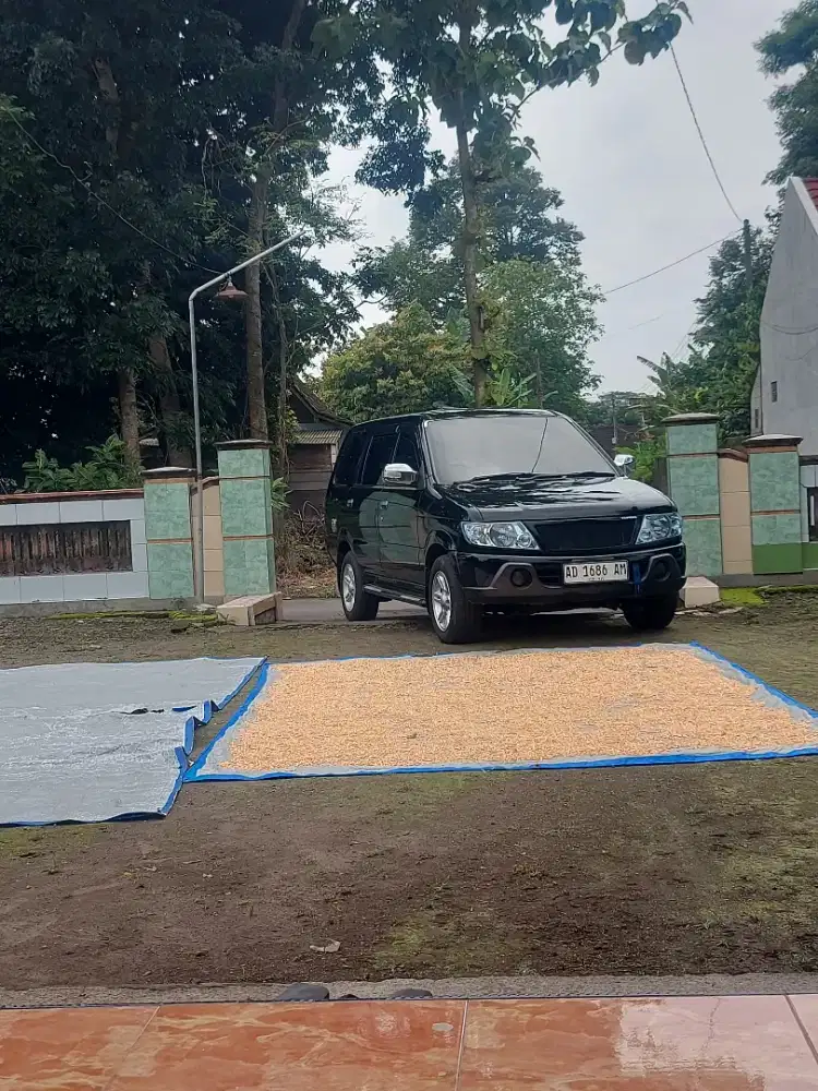 PANTHER LM 2013 UPGRADE LV