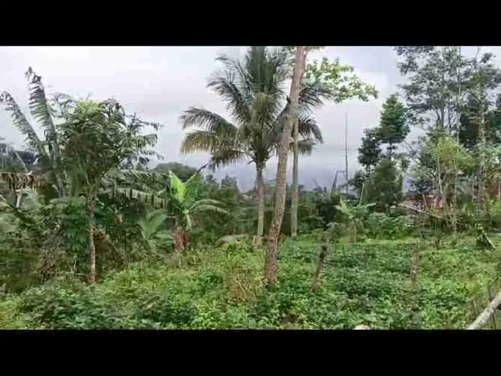 di jual tanah kebun akses mobil di Cicurug Sukabumi