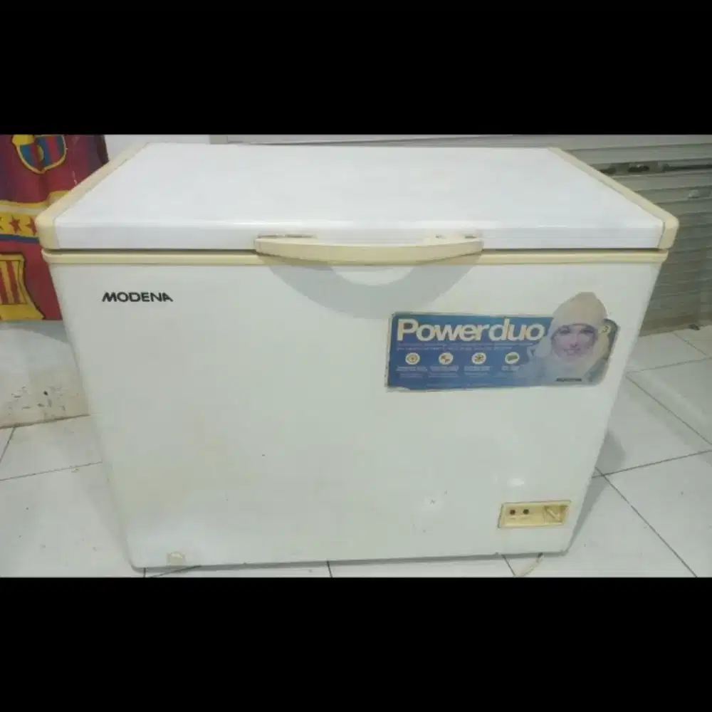 FREEZER BOX MODENA 200 Liter Bossskuu