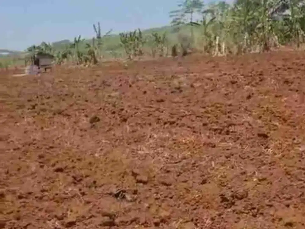 DIJUAL TANAH MIJEN SEMARANG,  40HA, ZONA KUNING