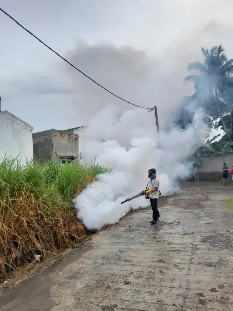 Jasa  fogging Nyamuk  DBD, & kecoa
