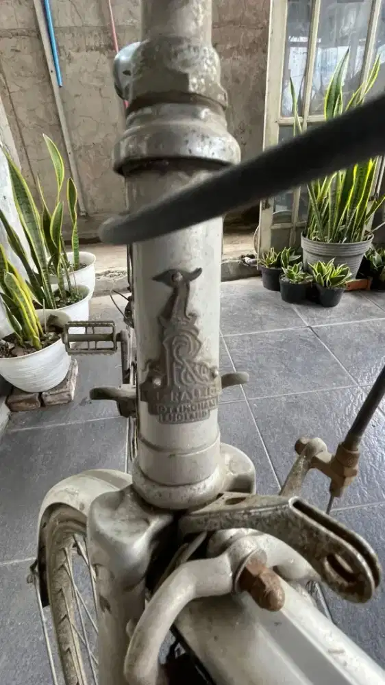 Sepeda Jadul Raelight Original