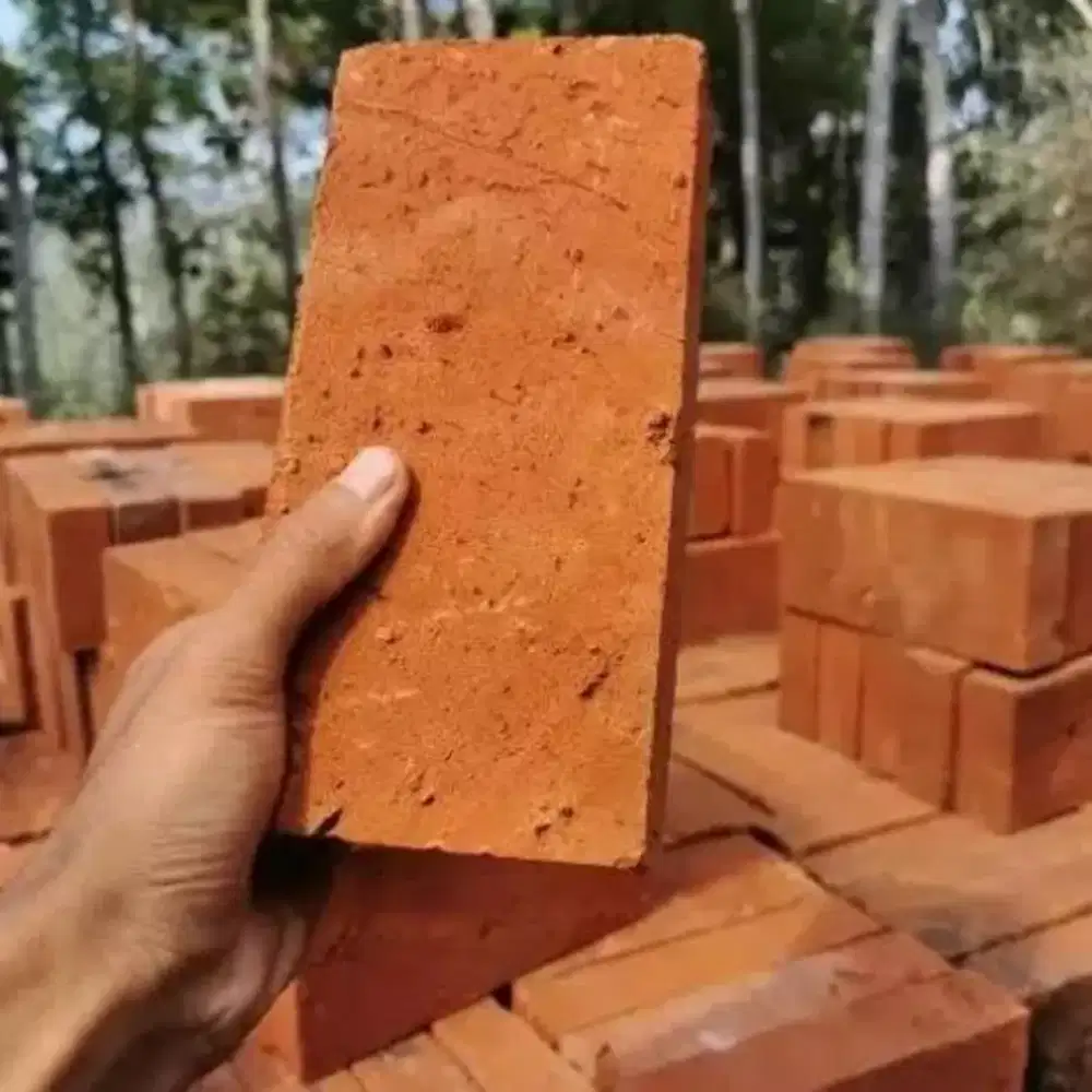 Bata merah jumbo 20x10x5