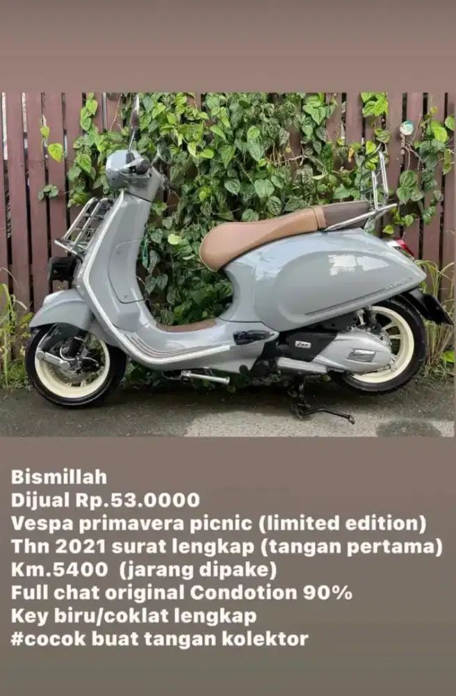 Vespa primavera picnic