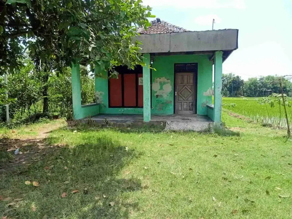 DI JUAL RUMAH

KEL. : WARUJAYENG
KEC. : TANJUNGANOM
KAB  : NGANJUK