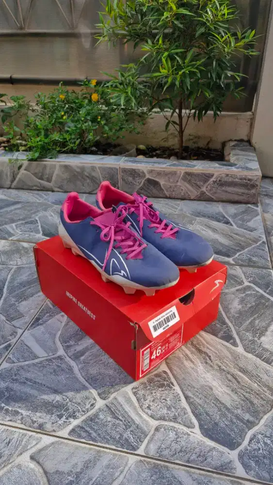 Specs XLR 2 FG original no minus