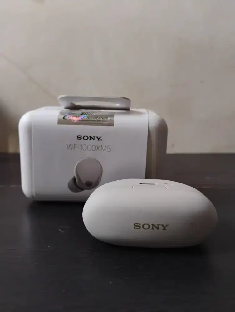 SONY WF-1000XM5