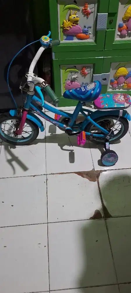 Sepeda Anak Roda 2