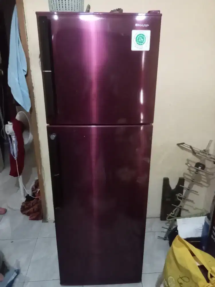 Kulkas sharp 2 pintu