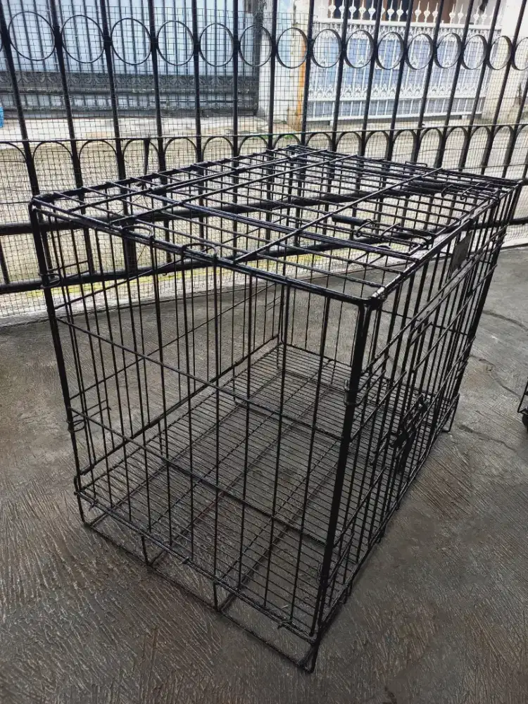 Kandang kucing bekas