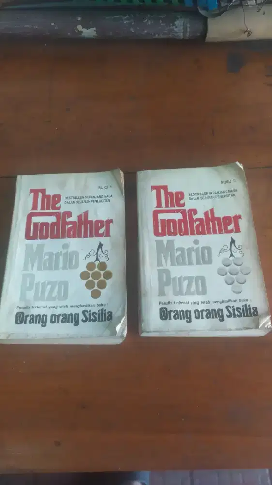 Novel The Godfather