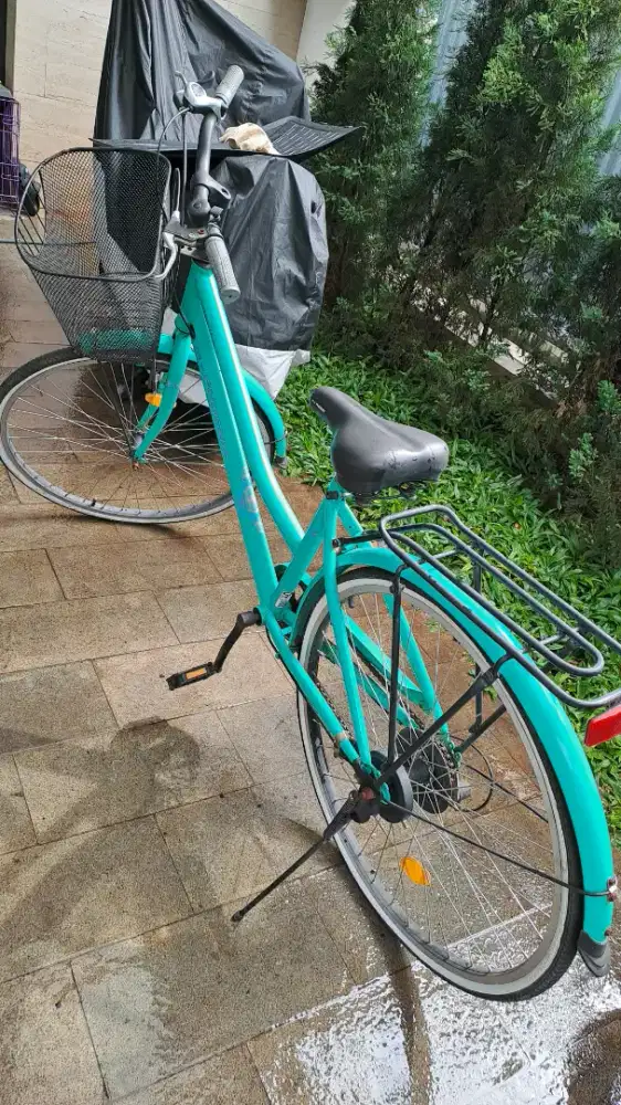 ​Sepeda Keranjang New Phoenix 2024 - Mulus Seperti Baru (BSD)