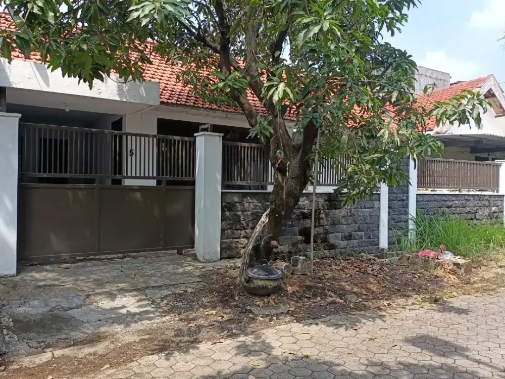 DIJUAL RUMAH PRIBADI ORANG TUA