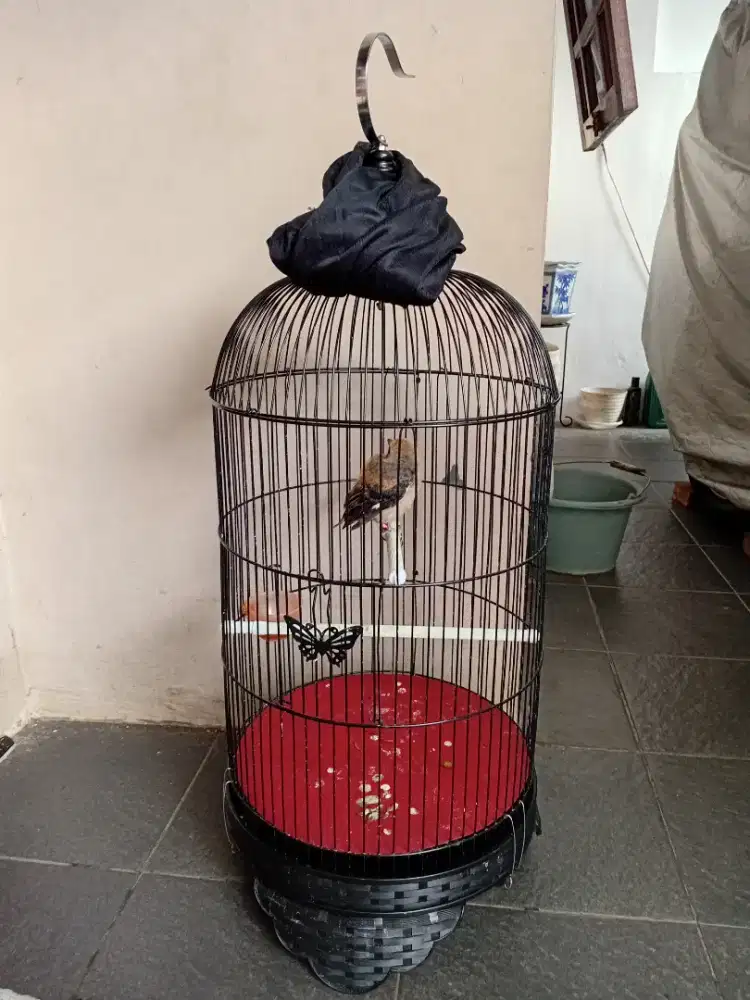 Sangkar lb boom fullset