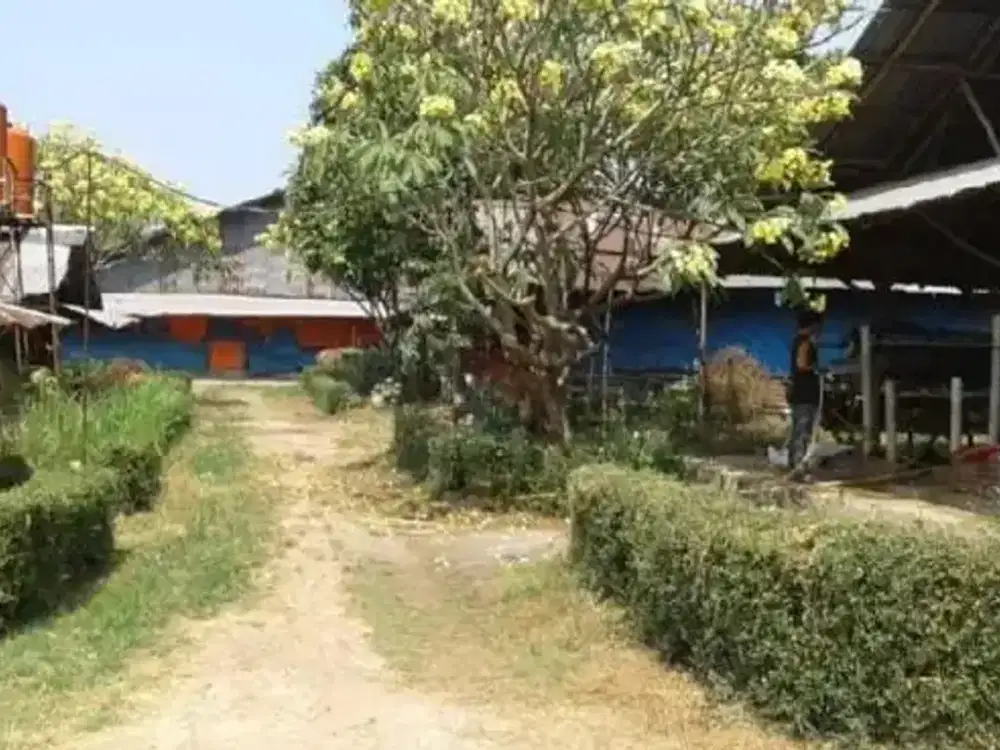 Dijual Murah Tanah 5,6 Ha di Daerah Cimuning Bekasi