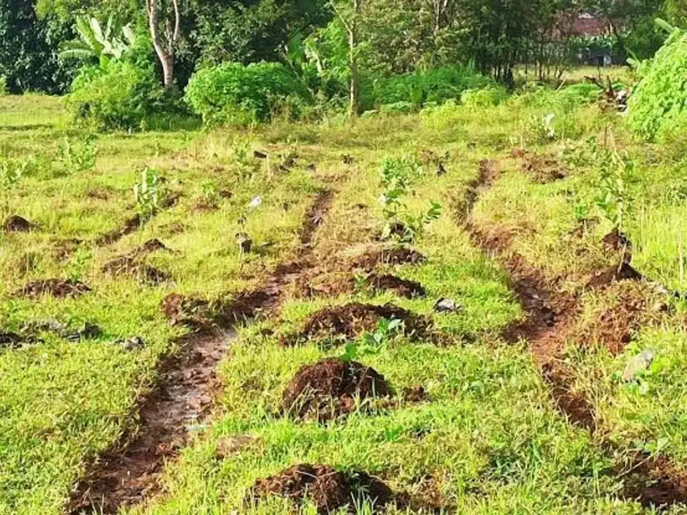 DISEWAKAN CEPAT KAVLING KOMERSIAL 8038M2 AKSES KONTAINER 40FT