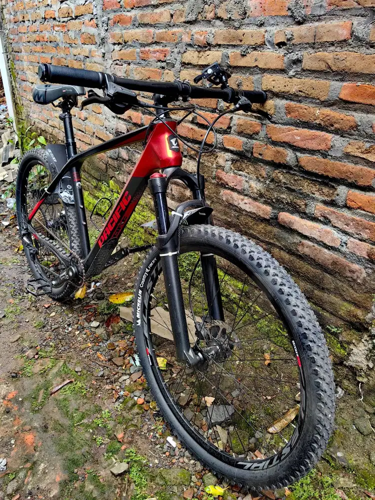sepeda mtb pacific armour dx size L