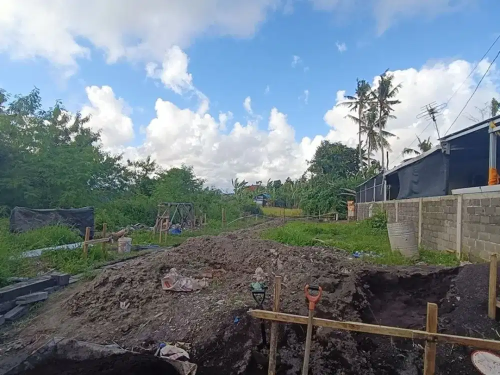 Tanah 20 Are Disewakan Minimal ambil 2 Are, di Lukluk