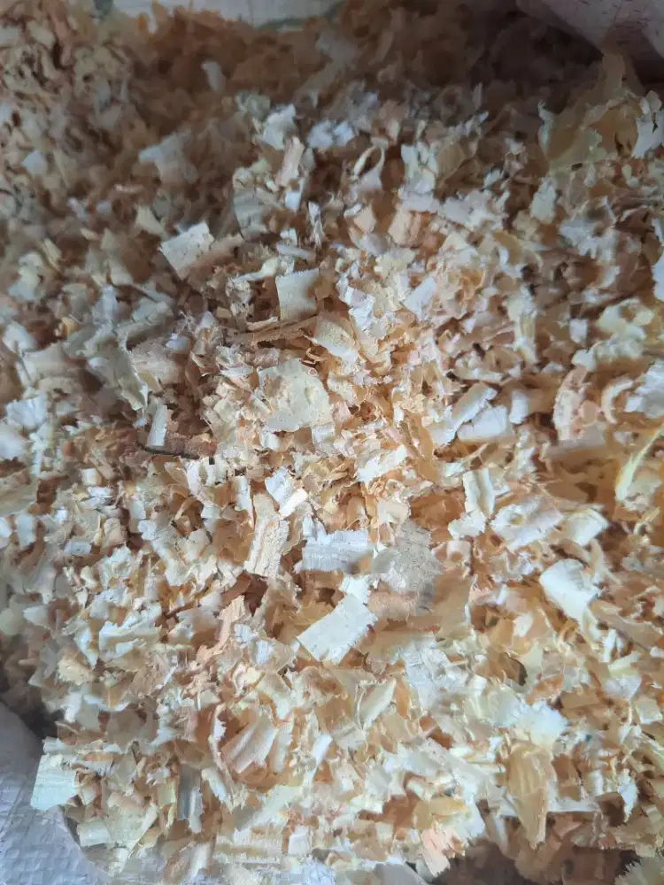 Serbuk kayu bersih 1 karung Ukuran 50 kg