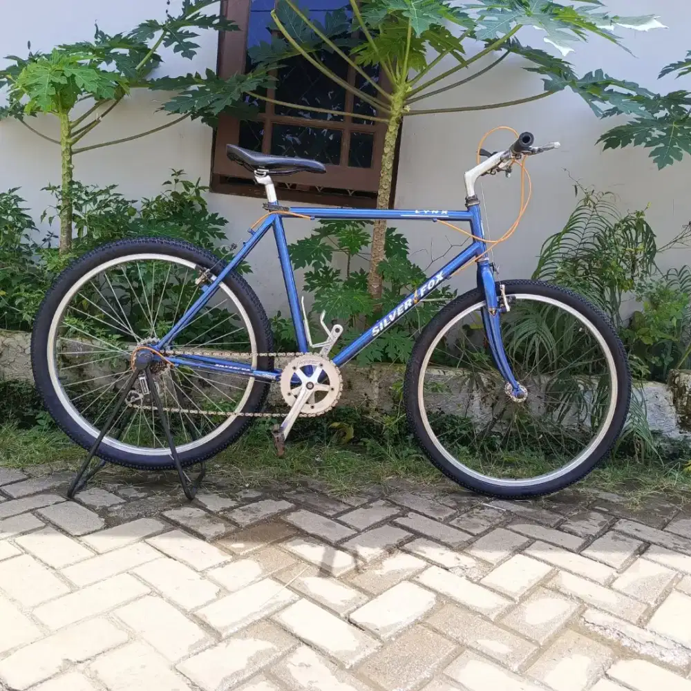 Sepeda Federal Silverfox Lynx