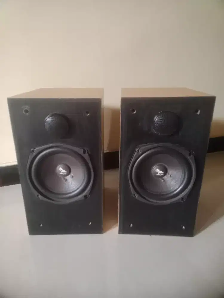 Speaker Rockford Fosgate tipe Punch series