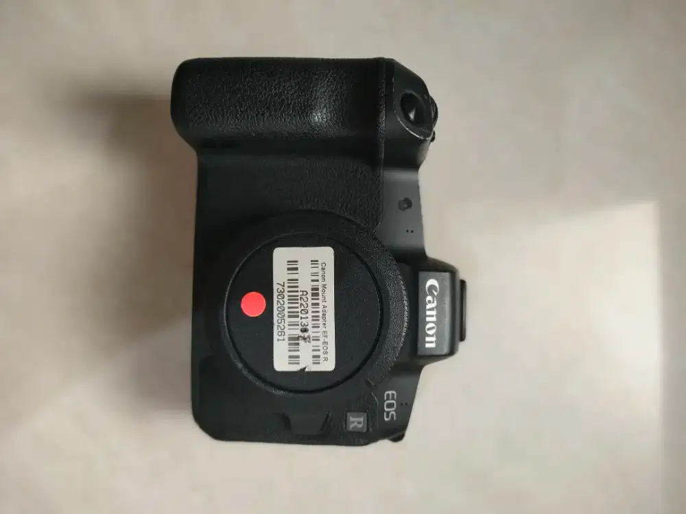 Canon EOS R body with Baterry Grip