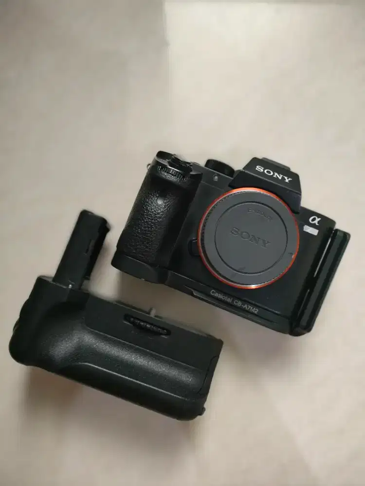 Sony AR2  Body with Batery grip