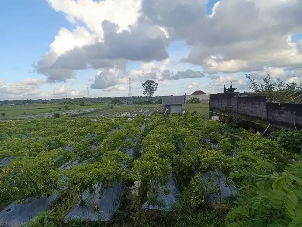 Tanah 30 Are Lokasi Dekat Ke Rs Kapal Disewakan, di Lukluk