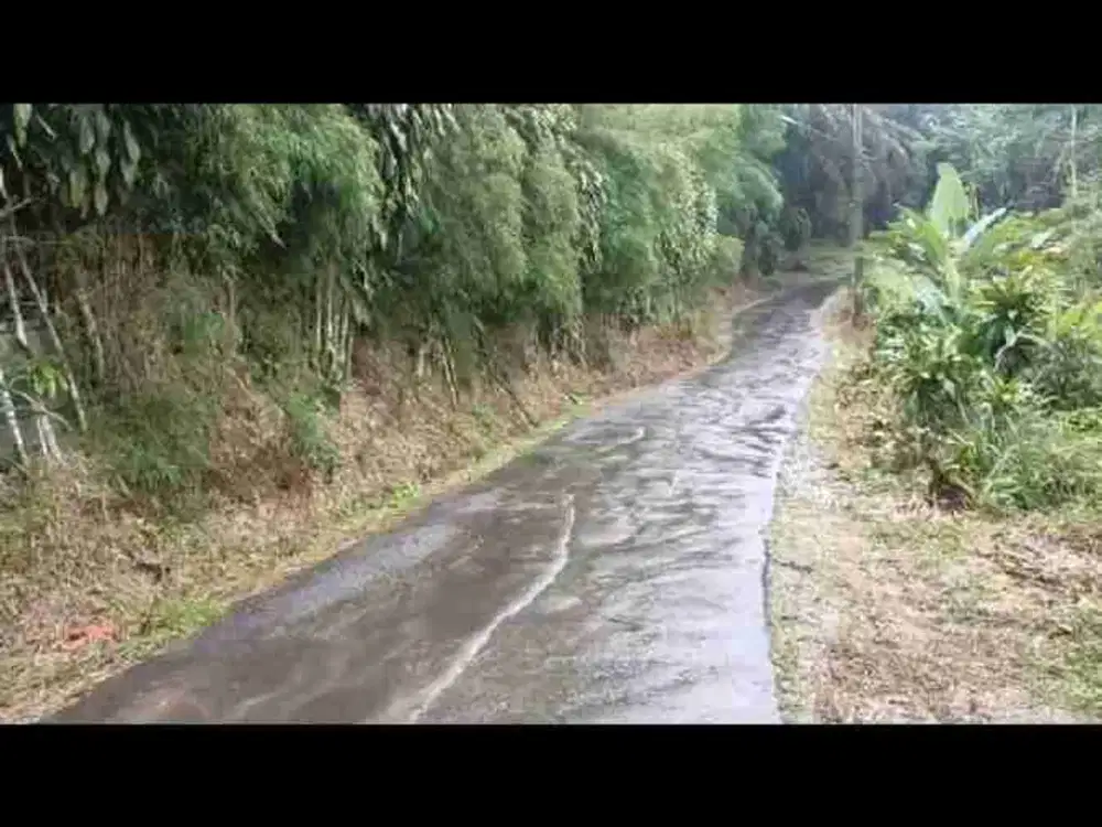 Dijual kebun duren di cigudeg bogor barat